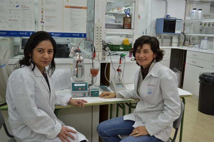 Investigadoras De La UPCT