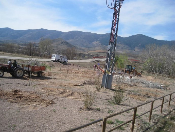 El Parque De Morés (Zaragoza) Donde Se Han Talado Los 124 Árboles