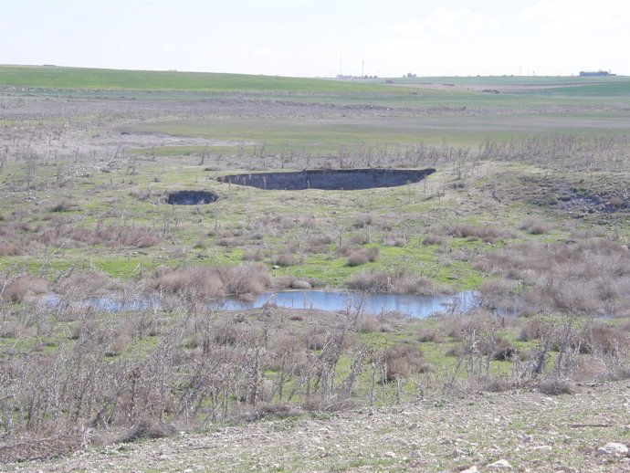 Afloramiento Agua En El Rincón, Daimiel