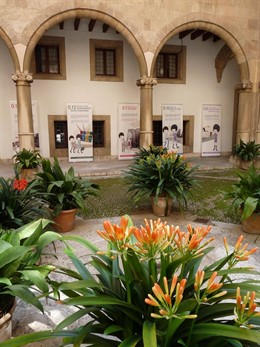 13 Pasos Para Montar Una Empresa En Palma