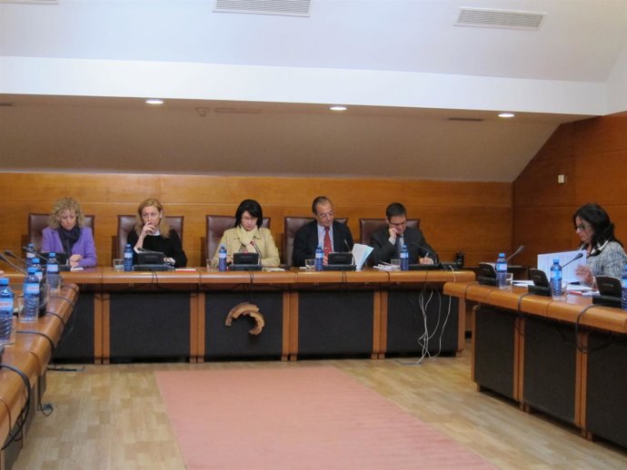 Comisión De Economía