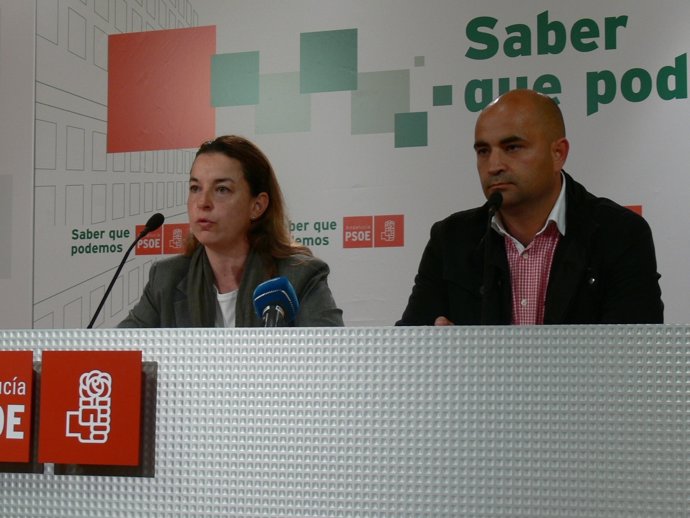 NP. PSOE Privatización Ayuda Domicilio Y Adjudicación Candidata PP 20120411