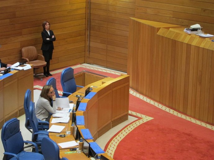 La Conselleira De Facenda, Elena Muñoz, Responde A Una Interpelación