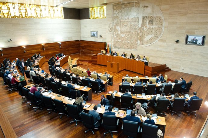 Pleno En El Parlamento