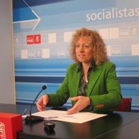 El PSOE asegura que la solución a GFB demuestra la "falsedad" de "toda la basura" lanzada por el PP