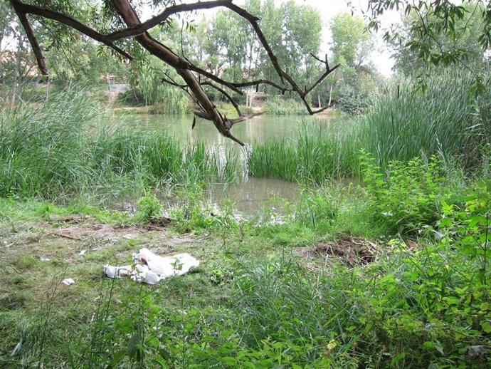 Lugar En El Que Apareció El Cuerpo De La Niña De 10 Meses En Logroño