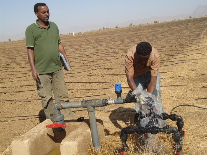 Instalación De Un Sistema De Riego Por Goteo En Eritrea