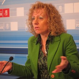 Eva Dïaz Tezanos, Secretaria General Del PSOE Cántabro