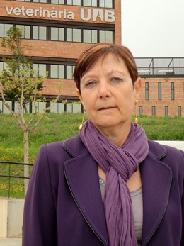La Candidata A Rectora De La UAB Marga Arboix