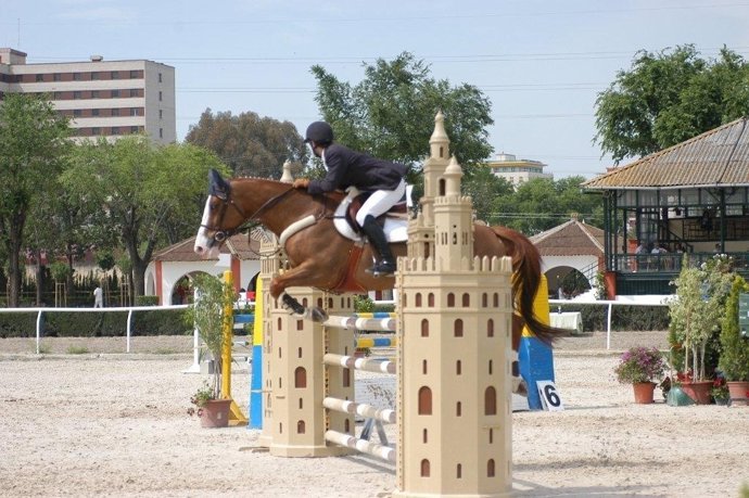 El Real Club Pineda De Sevilla Acogerá Este Fin De Semana El Primer Concurso Nac