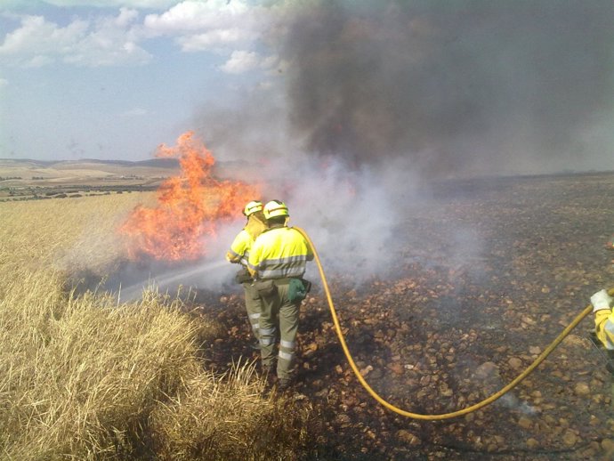 Bomberos Trabajando En La Extinción De Un Fuego