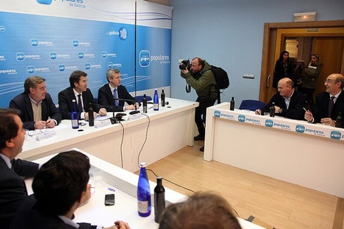 Comité De Dirección Del Ppdeg