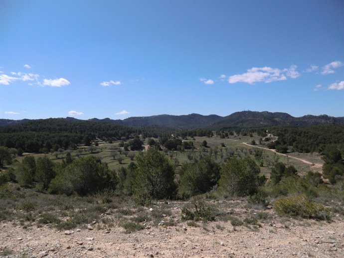 Parque Regional El Valle Y Carrascoy