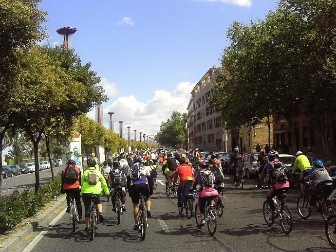 Ciclistas Participantes En La Marcha De Este Domingo En Sevilla