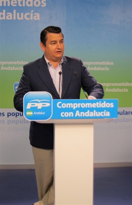 El Secretario General Del PP-A, Antonio Sanz, Hoy En Rueda De Prensa