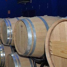 Bodega en la Rioja Alavesa