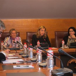 Cristina Mazas En La Comisión De Economía