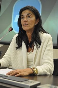 Ferrando (PP) dice que es "imprescindible" cumplir el objetivo de déficit y ahorrar