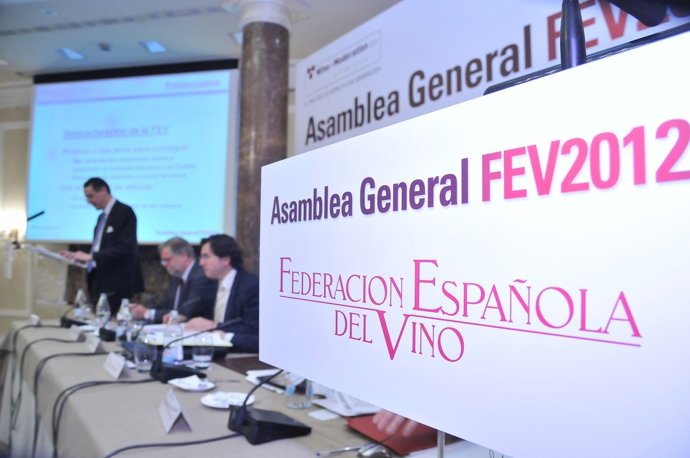 Asamblea De La FEV