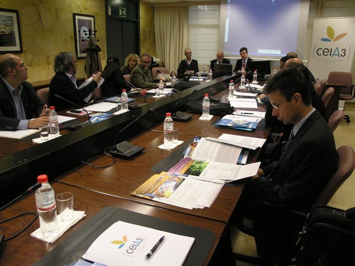 Reunión De La Comisión Permanente Del CEIA3