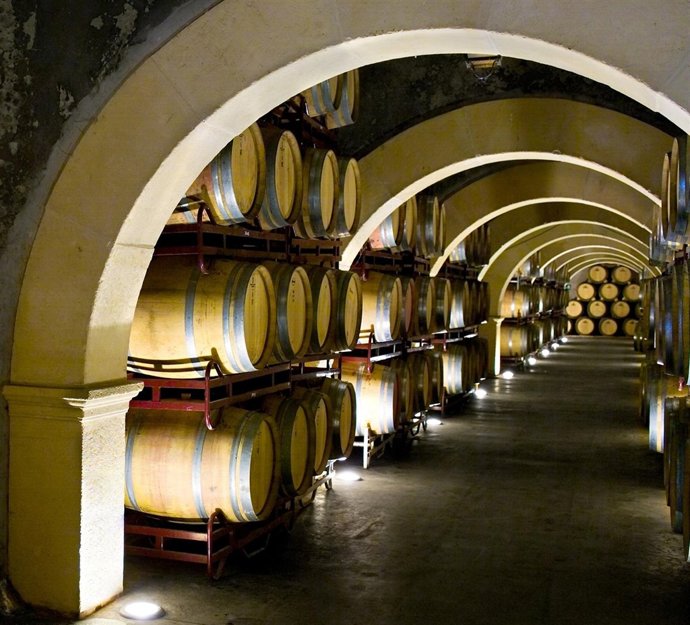 Instalaciones De Bodegas Luzón