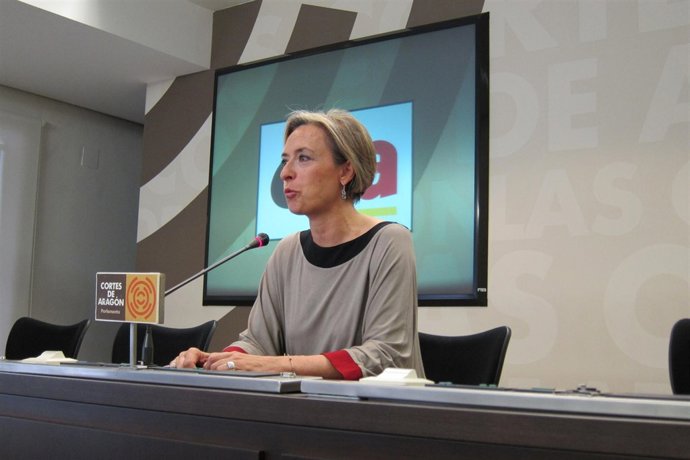 Nieves Ibeas, Portavoz De CHA