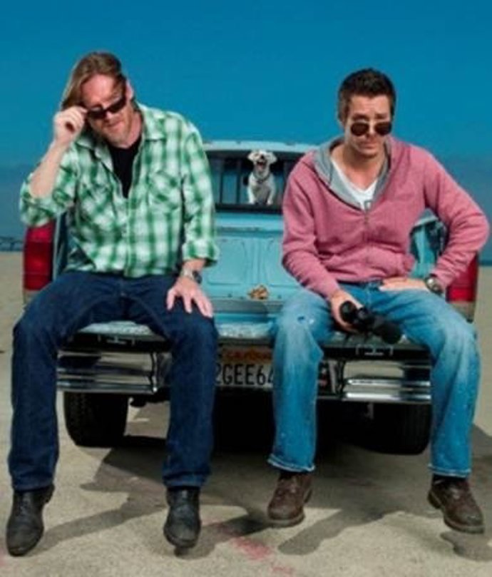 Terriers