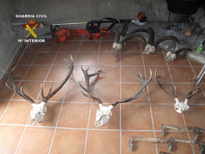 Piezas Intervenidas Al Cazador Furtivo En Alcóntar 