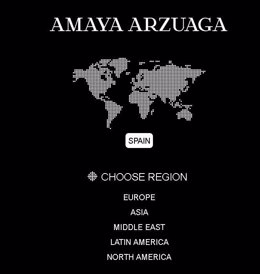 Página Web De Amaya Arzuaga 