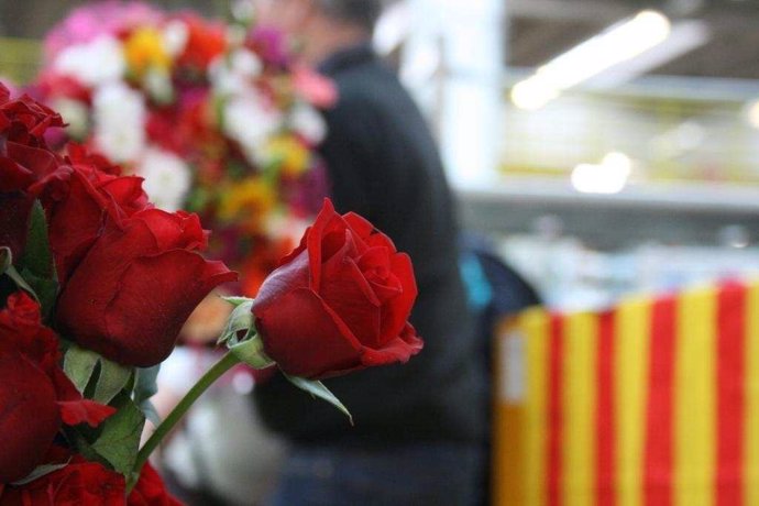 Rosas Expuestas Durante La Diada Se Sant Jordi