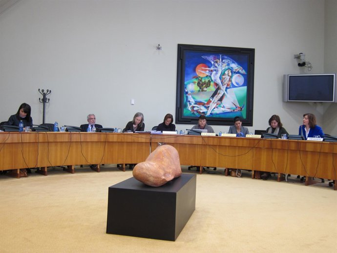 Comisión Con Susana López Abella