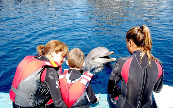 Niño Recibiendo Terapia En El Oceanogràfic