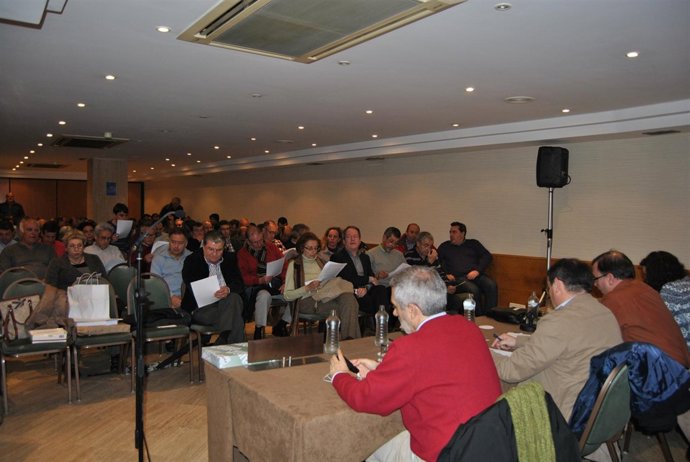 Consejo Político De IU De Asturias