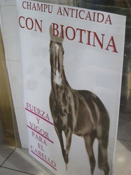 Cartel Anunciador Del Champú 