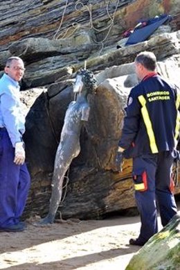 Estatua De Neptuno Niño, Ya Retirada