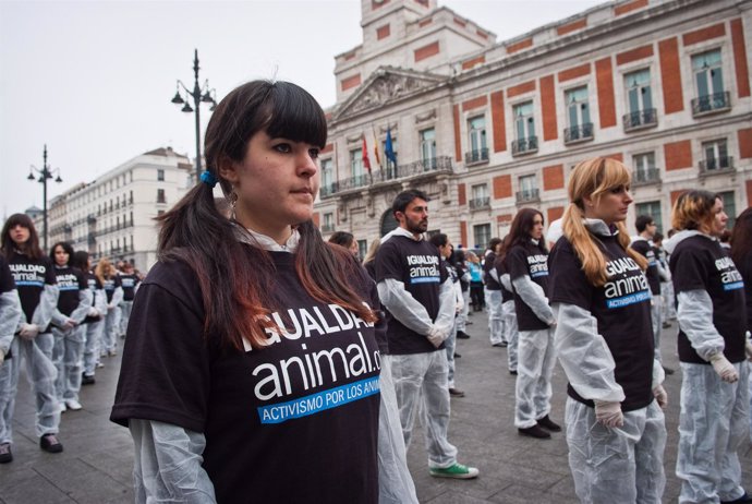 400 Activistas Han Reivindicado Los Derechos De Los Animales
