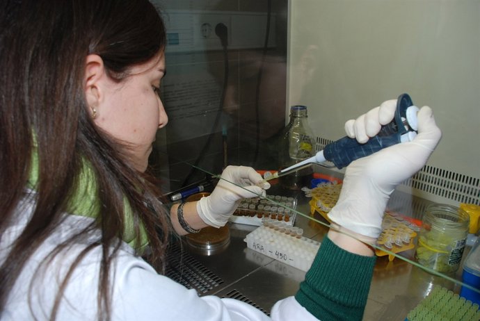 Laboratorio UCLM, Investigación