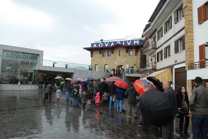 Colas En El Aquarium De San Sebastián