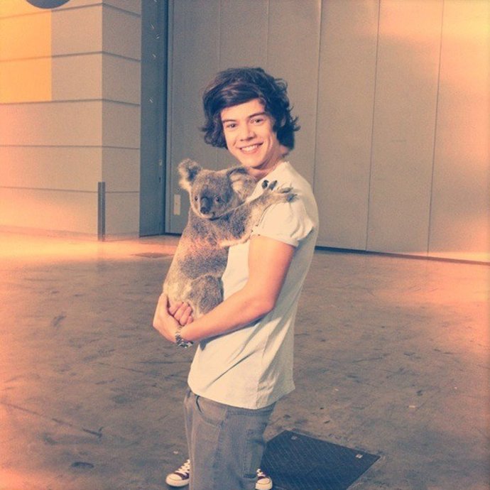 Harry Styles