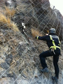 Rescate De La Pardela