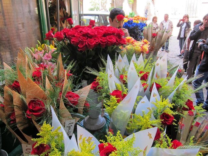 Rosas Por Sant Jordi