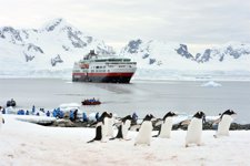Pingüinos En Antártida