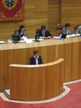 Fotos De La Conselleira De Sanidade Parlamento