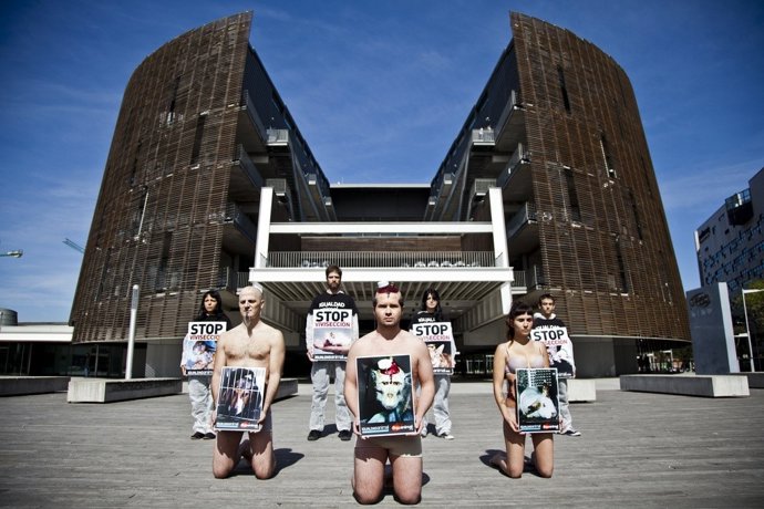 Protesta Contra El Uso De Animales En Experimentos Científicos