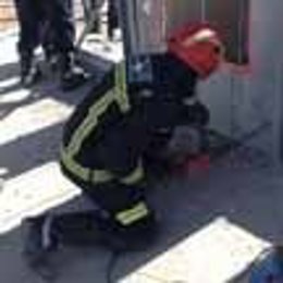 Bomberos De La Comunidad De Madrid
