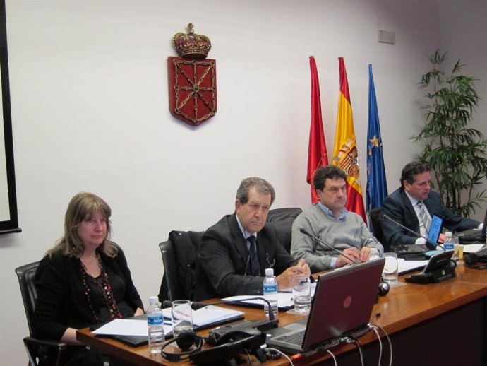 Representantes Del Sindicato Médico De Navarra En El Parlamento.