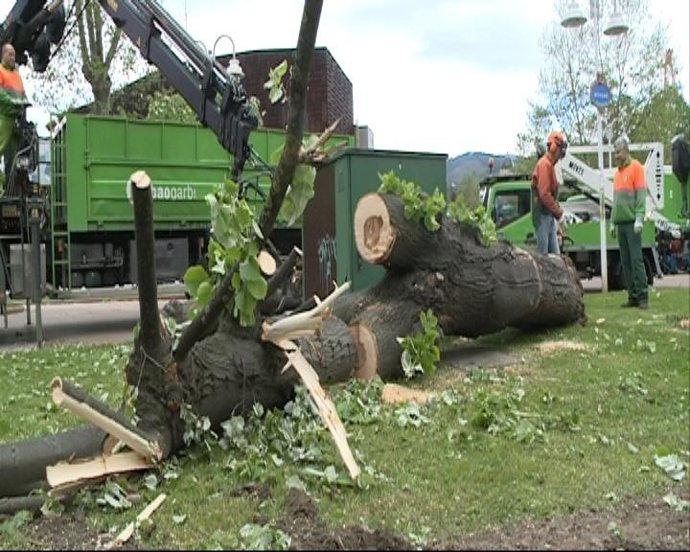 Vídeo de la noticia