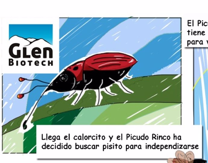 Imagen De La Campaña De Cómics Contra El Picudo Rojo