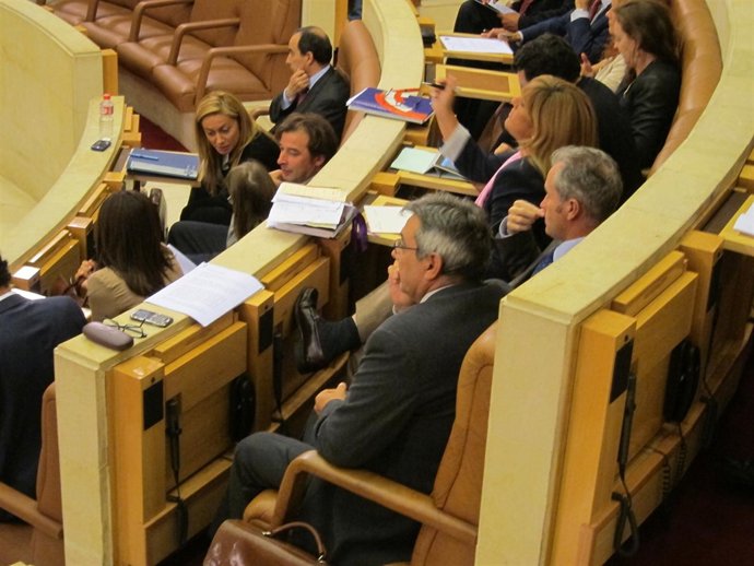 Pleno Parlamento