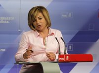 El PSOE apoya el plan integral de reinserción de terroristas del Gobierno pero está "a la espera" de conocer "detalles"